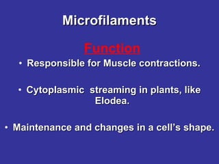 Microfilaments Responsible for Muscle contractions. Cytoplasmic  streaming in plants, like Elodea.  Maintenance and changes in a cell’s shape. Function 