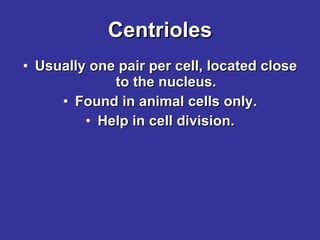 Centrioles Usually one pair per cell, located close to the nucleus. Found in animal cells only. Help in cell division. 
