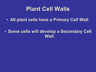 Plant Cell Walls All plant cells have a Primary Cell Wall. Some cells will develop a Secondary Cell Wall. 
