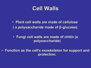 Cell Walls Plant cell walls are made of cellulose  ( a polysaccharide made of   -glucose). Fungi cell walls are made of chitin (a polysaccharide) Function as the cell's exoskeleton for support and protection. 