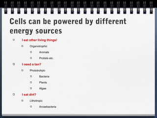 3

Cells can be powered by different
energy sources
I eat other living things!
Organotrophic
Animals
Protists etc.

I need a tan?
Phototrohpic
Bacteria
Plants
Algae

I eat dirt?
Lithotropic
Arcaebacteria

 