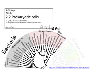 IB Biology
2 Cells
2.2 Prokaryotic cells
All syllabus statements ©IBO 2007
All images CC or public domain or link to original material.

Jason de Nys




                                                               http://en.wikipedia.org/wiki/File:Phylogenetic_Tree_of_Life.png
 