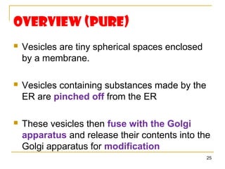 Overview (Pure)
   Vesicles are tiny spherical spaces enclosed
    by a membrane.

   Vesicles containing substances made by the
    ER are pinched off from the ER

   These vesicles then fuse with the Golgi
    apparatus and release their contents into the
    Golgi apparatus for modification
                                                  25
 
