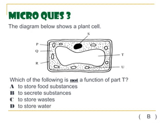 Micro Ques 3
The diagram below shows a plant cell.




Which of the following is not a function of part T?
A to store food substances
B to secrete substances
C to store wastes
D to store water
                                                      (   B )
 