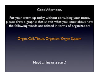 Good Afternoon,

   For your warm-up today, without consulting your notes,
please draw a graphic that shows what you know about how
  the following words are related in terms of organization:


       Organ, Cell, Tissue, Organism, Organ System




                  Need a hint or a start?