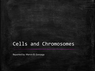 Cells and Chromosomes
Reported by: Marvin B. Gonzaga
 