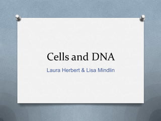 Cells and DNA
Laura Herbert & Lisa Mindlin
 