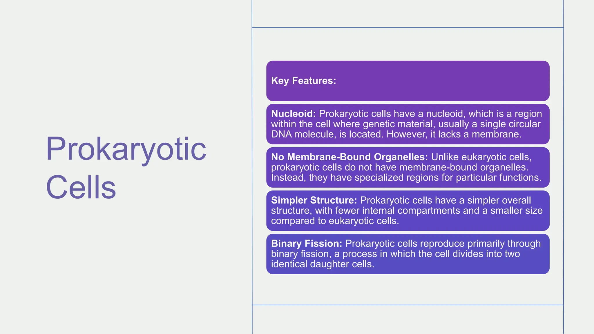 Cells (The basic unit of life) and Functions. pptx | PPTX