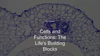 Cells and
Functions: The
Life's Building
Blocks
By Keizar
 