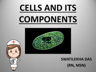 CELLS AND ITS
COMPONENTS
SWATILEKHA DAS
(RN, MSN)
 