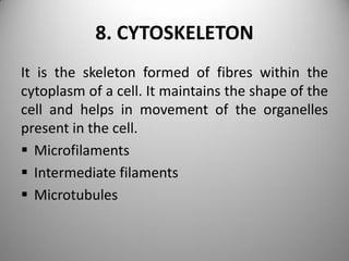 8. CYTOSKELETON
It is the skeleton formed of fibres within the
cytoplasm of a cell. It maintains the shape of the
cell and helps in movement of the organelles
present in the cell.
 Microfilaments
 Intermediate filaments
 Microtubules
 