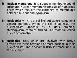 i) Nuclear membrane- It is a double membrane bound
structure. Nuclear membrane consists of numerous
pores which regulate the exchange of metabolites
between nucleus and cytoplasm.
ii) Nucleoplasm- it is a gel like substance containing
genetic material. When the cell is at rest, the
nucleoplasm appears as a dark staining.
Nucleoplasm contains thread like material called
nuclear chromatin.
iii) Nucleolus- cells which are involved with active
protein synthesis have one or more nucleoli in their
nucleoplasm. The ribosomal RNA is transcribed in
the nucleolus.
 