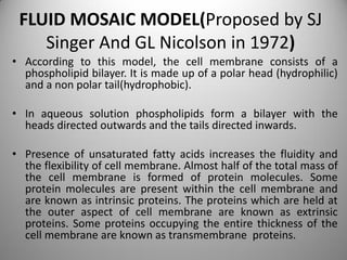 FLUID MOSAIC MODEL(Proposed by SJ
Singer And GL Nicolson in 1972)
• According to this model, the cell membrane consists of a
phospholipid bilayer. It is made up of a polar head (hydrophilic)
and a non polar tail(hydrophobic).
• In aqueous solution phospholipids form a bilayer with the
heads directed outwards and the tails directed inwards.
• Presence of unsaturated fatty acids increases the fluidity and
the flexibility of cell membrane. Almost half of the total mass of
the cell membrane is formed of protein molecules. Some
protein molecules are present within the cell membrane and
are known as intrinsic proteins. The proteins which are held at
the outer aspect of cell membrane are known as extrinsic
proteins. Some proteins occupying the entire thickness of the
cell membrane are known as transmembrane proteins.
 