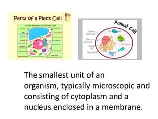 Cells and living organisms for ESL students | PPTX
