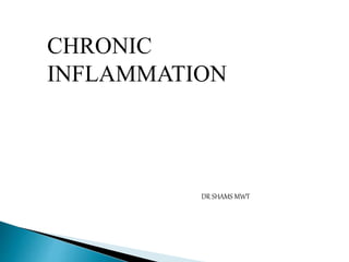 CHRONIC
INFLAMMATION
DR SHAMS MWT
 