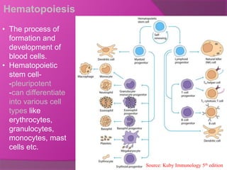 Cells and organs of immune system | PPTX