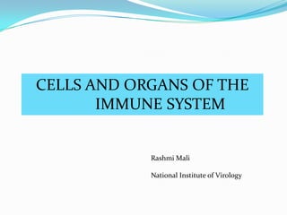 CELLS AND ORGANS OF THE
       IMMUNE SYSTEM


            Rashmi Mali

            National Institute of Virology
 