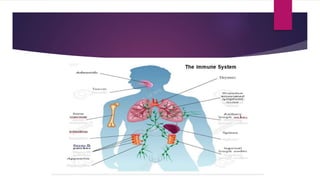 Cells and organs of the immune system | PPT