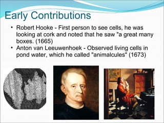Early Contributions
• Robert Hooke - First person to see cells, he was
looking at cork and noted that he saw "a great many
boxes. (1665)
• Anton van Leeuwenhoek - Observed living cells in
pond water, which he called "animalcules" (1673)
 