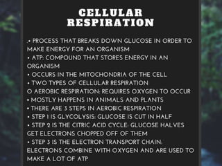 Cells and Their Processes
