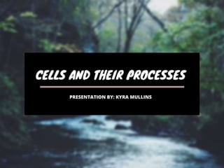 Cells and Their Processes 
