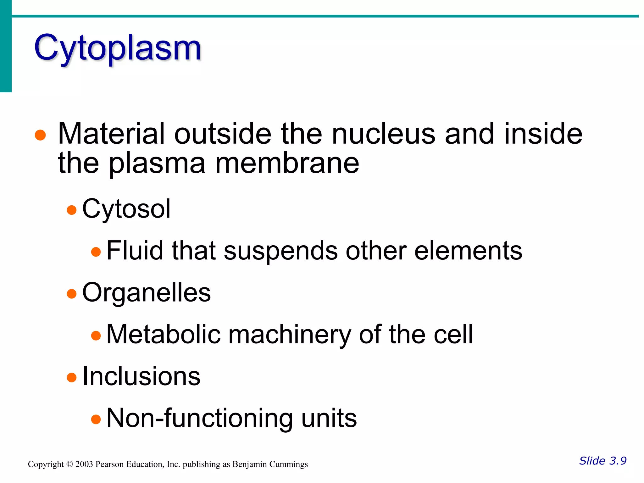 Cytoplasm
Slide 3.9
Copyright © 2003 Pearson Education, Inc. publishing as Benjamin Cummings
 Material outside the nucleus and inside
the plasma membrane
Cytosol
Fluid that suspends other elements
Organelles
Metabolic machinery of the cell
Inclusions
Non-functioning units
 