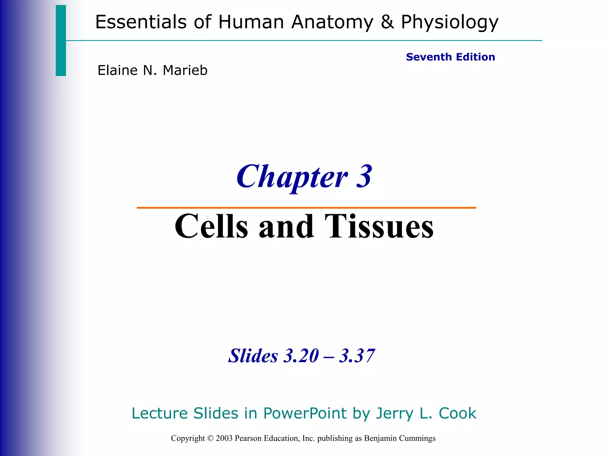 Essentials of Human Anatomy & Physiology
Copyright © 2003 Pearson Education, Inc. publishing as Benjamin Cummings
Slides 3.20 – 3.37
Seventh Edition
Elaine N. Marieb
Chapter 3
Cells and Tissues
Lecture Slides in PowerPoint by Jerry L. Cook
 