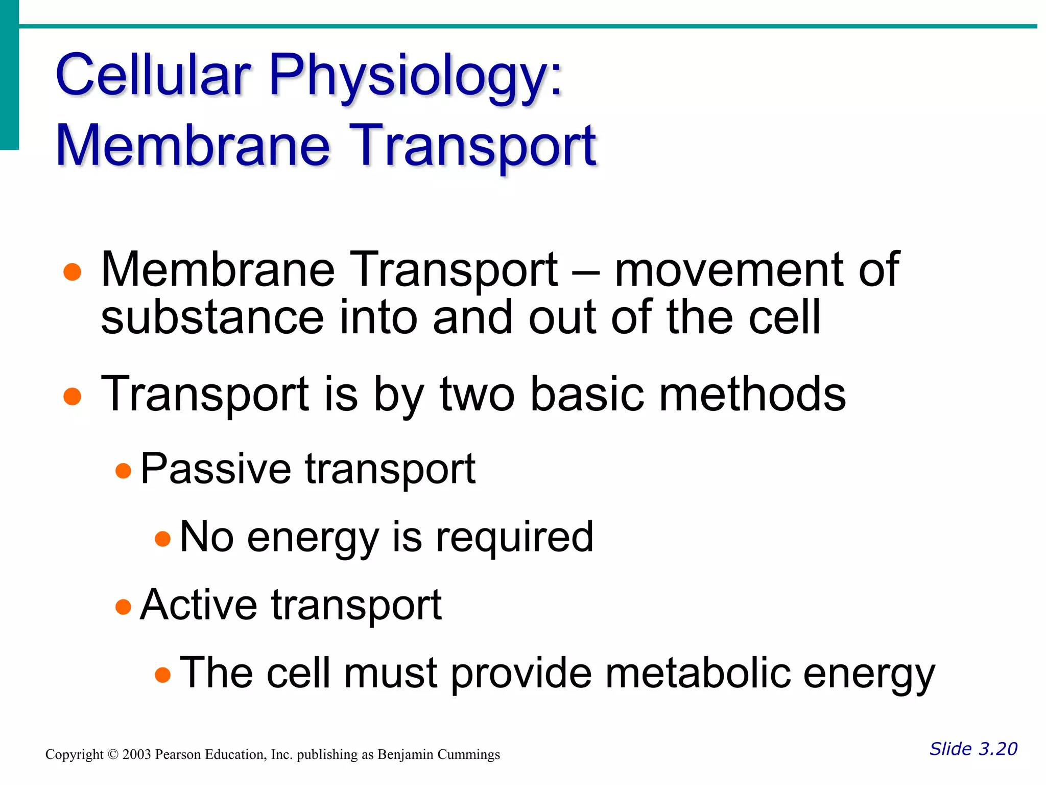 Cellular Physiology:
Membrane Transport
Slide 3.20
Copyright © 2003 Pearson Education, Inc. publishing as Benjamin Cummings
 Membrane Transport – movement of
substance into and out of the cell
 Transport is by two basic methods
Passive transport
No energy is required
Active transport
The cell must provide metabolic energy
 
