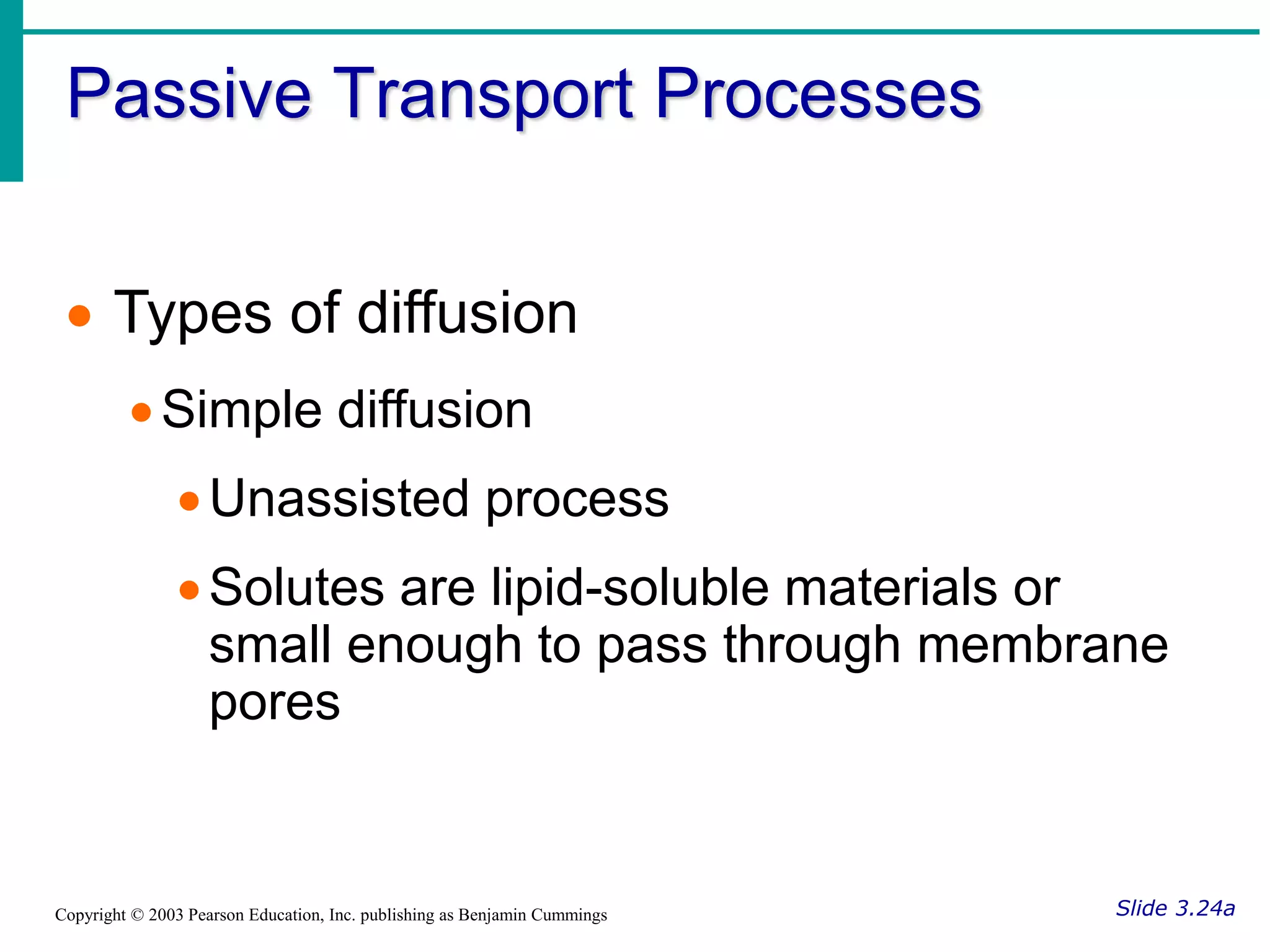Passive Transport Processes
Slide 3.24a
Copyright © 2003 Pearson Education, Inc. publishing as Benjamin Cummings
 Types of diffusion
Simple diffusion
Unassisted process
Solutes are lipid-soluble materials or
small enough to pass through membrane
pores
 