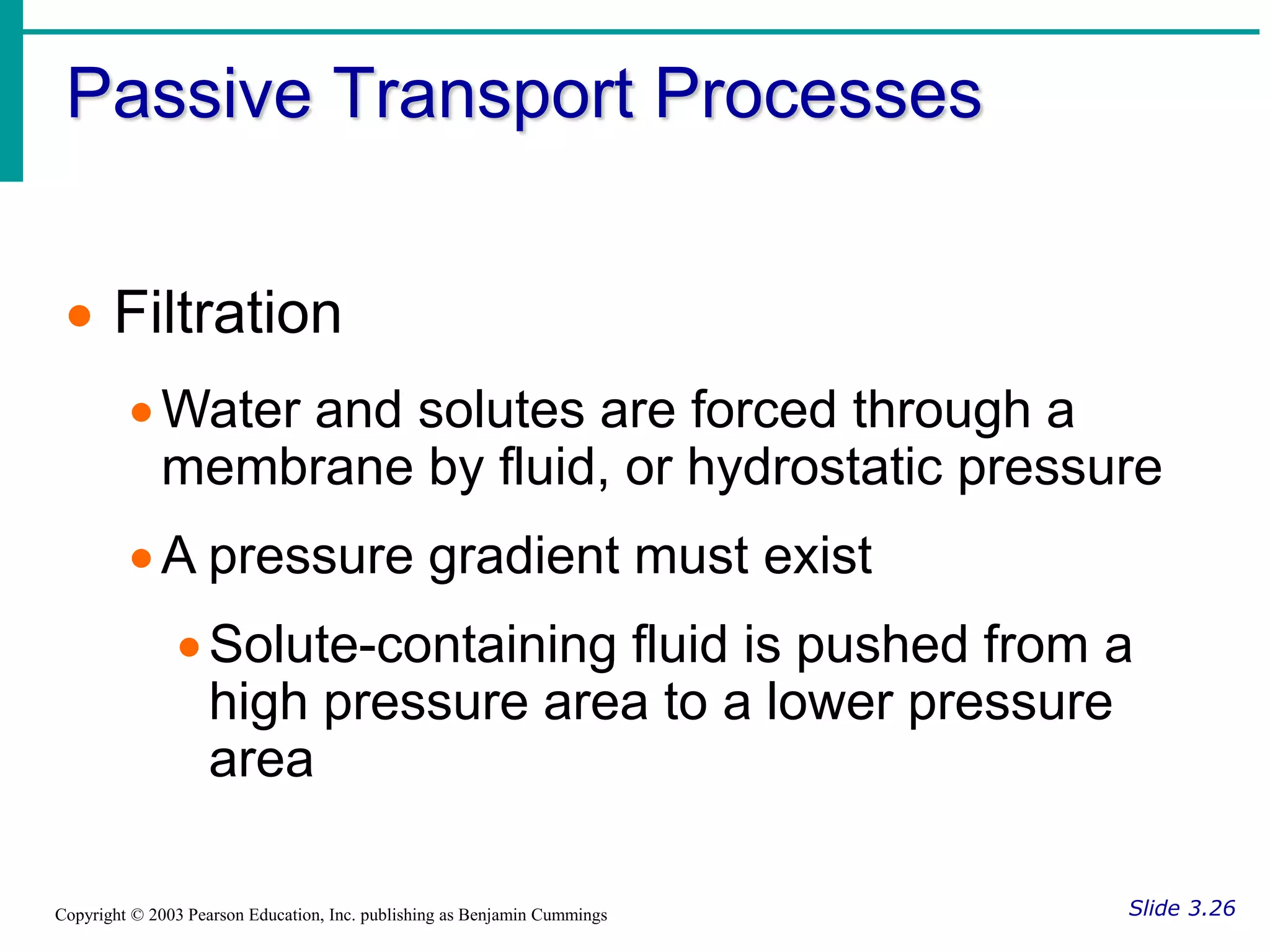 Passive Transport Processes
Slide 3.26
Copyright © 2003 Pearson Education, Inc. publishing as Benjamin Cummings
 Filtration
Water and solutes are forced through a
membrane by fluid, or hydrostatic pressure
A pressure gradient must exist
Solute-containing fluid is pushed from a
high pressure area to a lower pressure
area
 