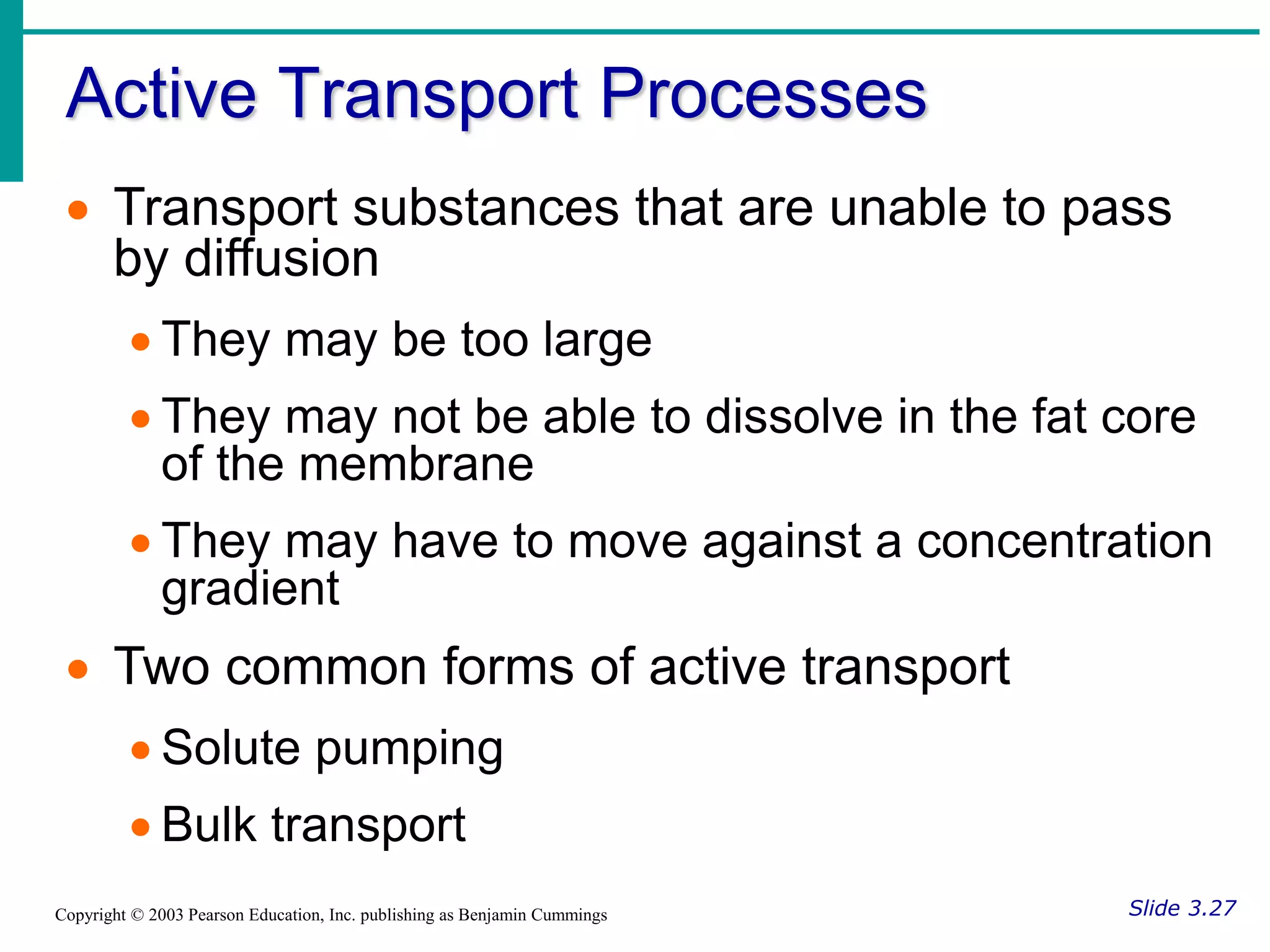 Active Transport Processes
Slide 3.27
Copyright © 2003 Pearson Education, Inc. publishing as Benjamin Cummings
 Transport substances that are unable to pass
by diffusion
 They may be too large
 They may not be able to dissolve in the fat core
of the membrane
 They may have to move against a concentration
gradient
 Two common forms of active transport
 Solute pumping
 Bulk transport
 