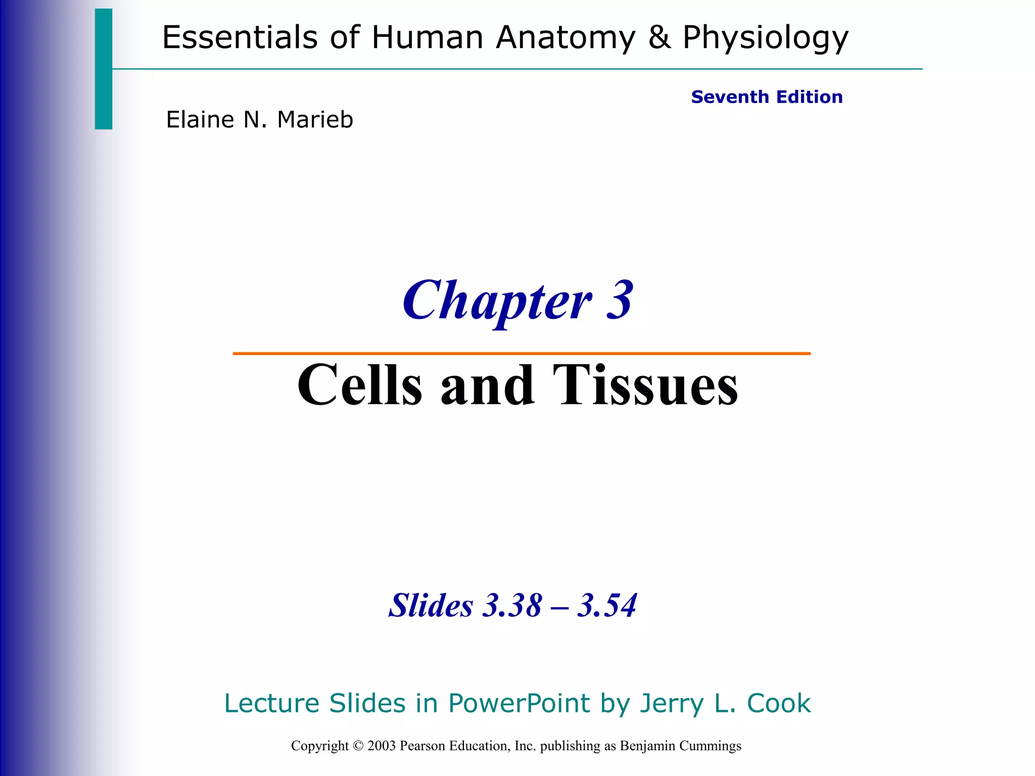 Essentials of Human Anatomy & Physiology
Copyright © 2003 Pearson Education, Inc. publishing as Benjamin Cummings
Slides 3.38 – 3.54
Seventh Edition
Elaine N. Marieb
Chapter 3
Cells and Tissues
Lecture Slides in PowerPoint by Jerry L. Cook
 