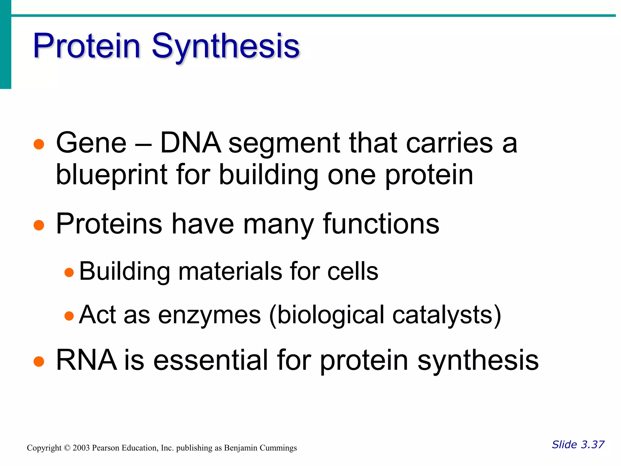 Protein Synthesis
Slide 3.37
Copyright © 2003 Pearson Education, Inc. publishing as Benjamin Cummings
 Gene – DNA segment that carries a
blueprint for building one protein
 Proteins have many functions
Building materials for cells
Act as enzymes (biological catalysts)
 RNA is essential for protein synthesis
 