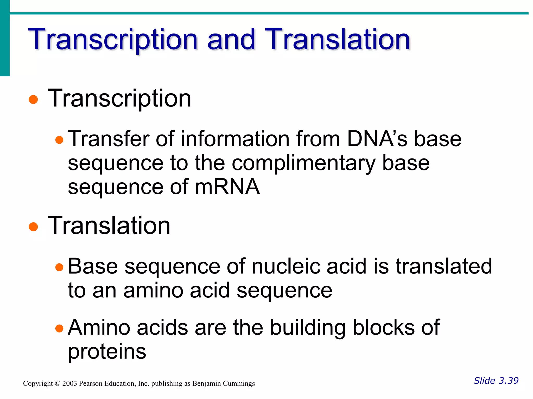 Transcription and Translation
Slide 3.39
Copyright © 2003 Pearson Education, Inc. publishing as Benjamin Cummings
 Transcription
Transfer of information from DNA’s base
sequence to the complimentary base
sequence of mRNA
 Translation
Base sequence of nucleic acid is translated
to an amino acid sequence
Amino acids are the building blocks of
proteins
 