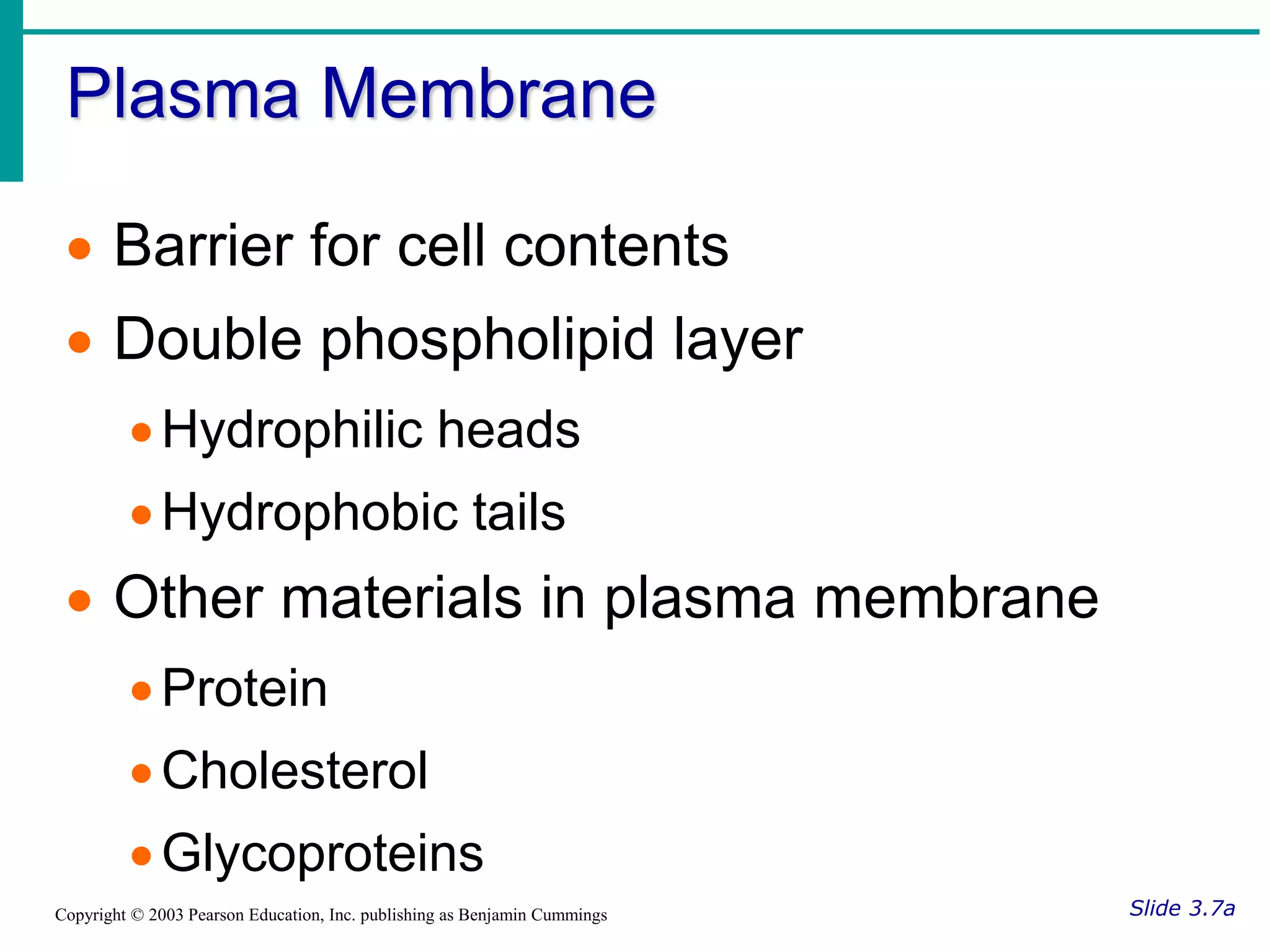 Plasma Membrane
Slide 3.7a
Copyright © 2003 Pearson Education, Inc. publishing as Benjamin Cummings
 Barrier for cell contents
 Double phospholipid layer
Hydrophilic heads
Hydrophobic tails
 Other materials in plasma membrane
Protein
Cholesterol
Glycoproteins
 