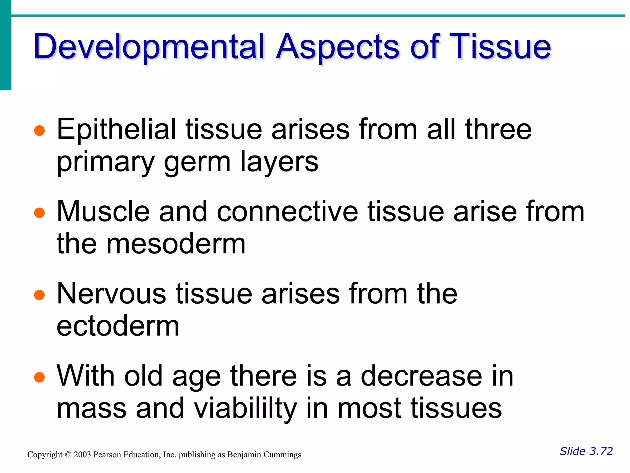Developmental Aspects of Tissue
Slide 3.72
Copyright © 2003 Pearson Education, Inc. publishing as Benjamin Cummings
 Epithelial tissue arises from all three
primary germ layers
 Muscle and connective tissue arise from
the mesoderm
 Nervous tissue arises from the
ectoderm
 With old age there is a decrease in
mass and viabililty in most tissues
 