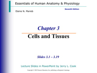 Essentials of Human Anatomy & Physiology
Copyright © 2003 Pearson Education, Inc. publishing as Benjamin Cummings
Slides 3.1 – 3.19
Seventh Edition
Elaine N. Marieb
Chapter 3
Cells and Tissues
Lecture Slides in PowerPoint by Jerry L. Cook
 