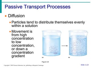 Passive Processes Cells_and_Tissues.ppt