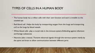 Information about cells parts and tissues | PPTX