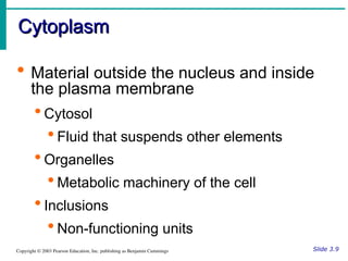 Structure and Function Cells and Tissues: Structure and Function Cells ...
