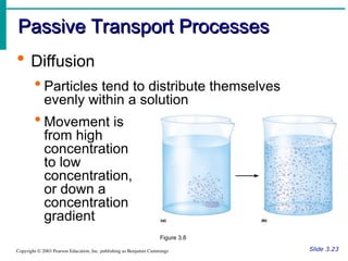 Passive Process Structure and Function Cells and Tissues: Structure and Function Cells ...