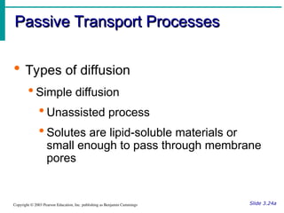 Passive Process Structure and Function Cells and Tissues: Structure and Function Cells ...