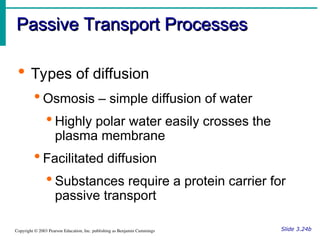 Passive Processes Structure and Function Cells and Tissues: Structure and Function Cells ...