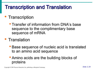 Translation Base Images Structure and Function Cells and Tissues: Structure and Function Cells ...