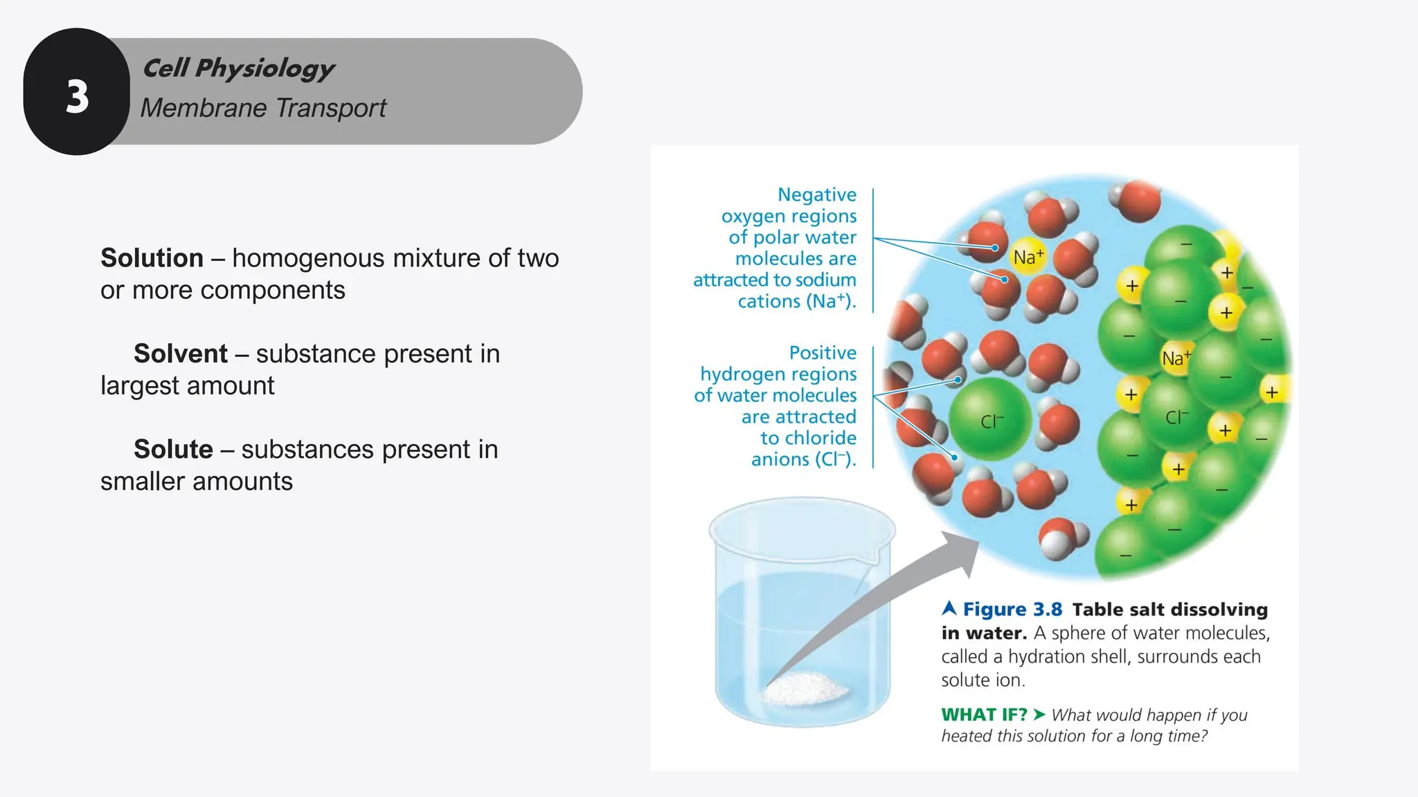 Cells and Tissues in Anaphy and Physiology | PDF