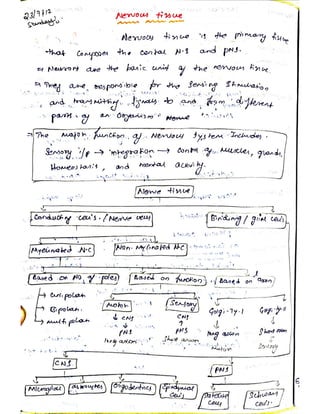 Cells and tissues written notes | PDF