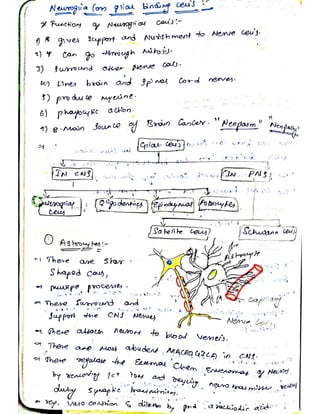Cells and tissues written notes | PDF