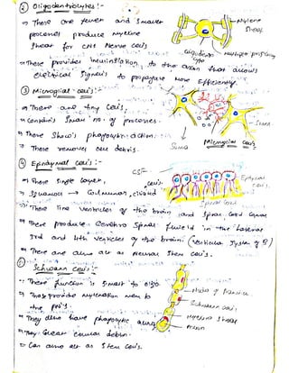 Cells and tissues written notes | PDF
