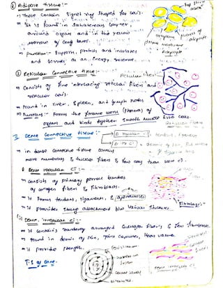 Cells and tissues written notes | PDF