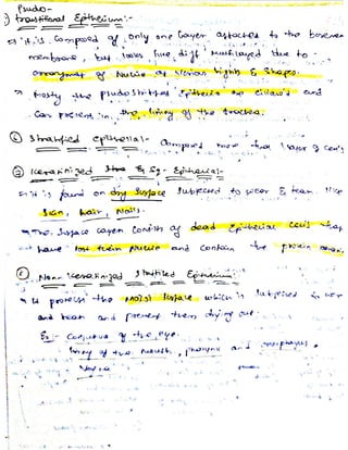 Cells and tissues written notes | PDF